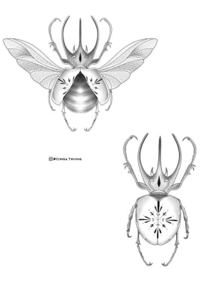 Image of Ornamental beetles 