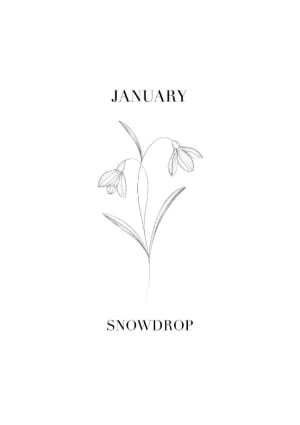 Image of January - Snowdrop