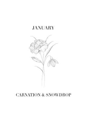 Image of January - Bouquet 