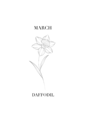Image of March - Daffodil 