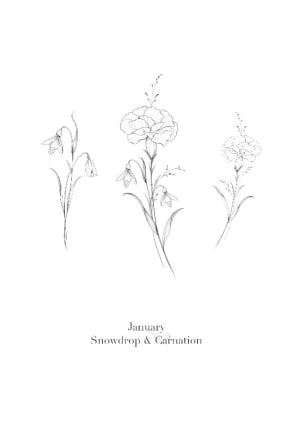 Image of January