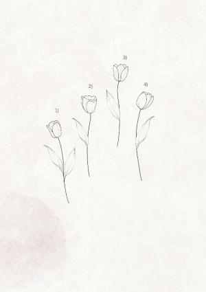 Image of Tulip flash