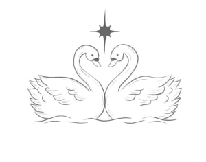 Image of Swans 12x8cm