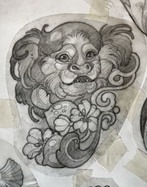 Image of Marmoset monkey 