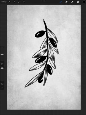 Image of Olive branch