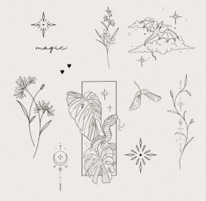 Image of Flash collection