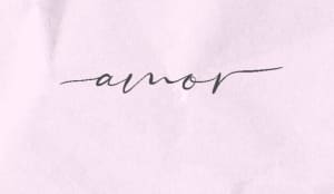 Image of Amor