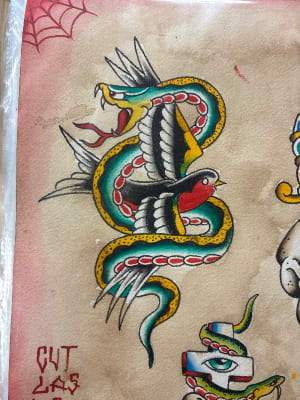 Image of Snake v. swallow