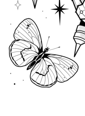 Image of Butterfly 