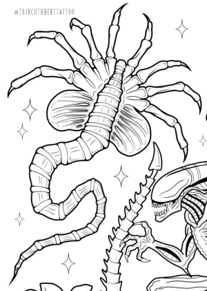 Image of Face hugger 