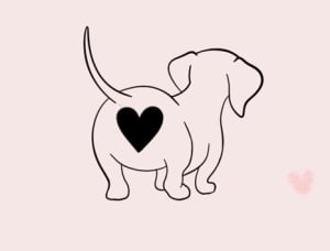 Image of Sausage Dog