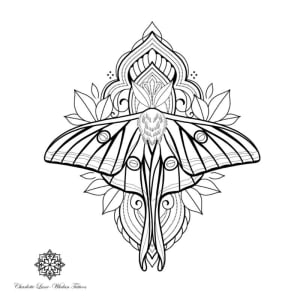 Image of Moth Mandala