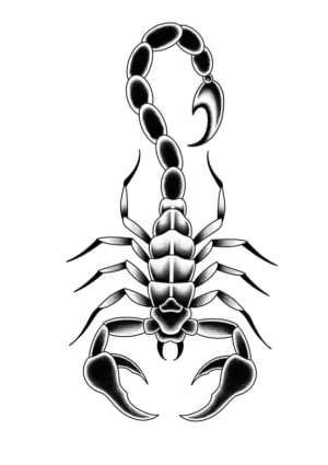 Image of Scorpion 