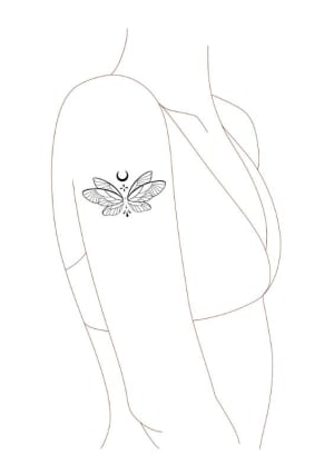 Image of Fairy wings 