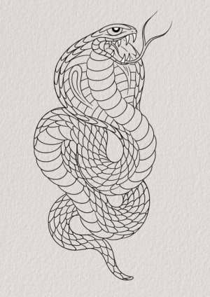 Image of Cobra