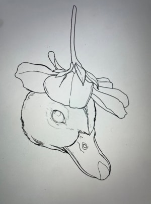 Image of what a lovely hat :) 