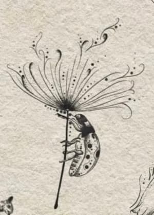 Image of Ladybird and dandelion 