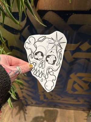 Image of Skull and bone 