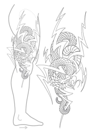 Image of Snake eagle mashup 