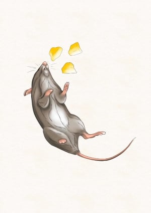Image of Cheesy Chunks Mouse