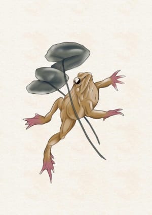 Image of Lily Pad Froggy