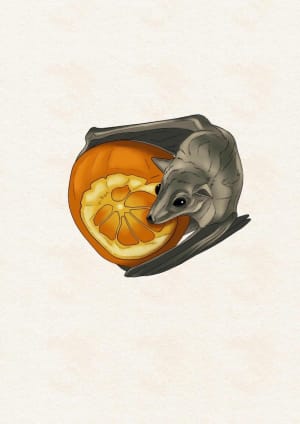 Image of Fruit Bandit #1 ON SALE