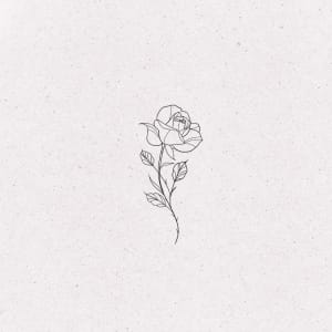 Image of President Snow’s rose