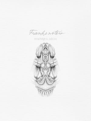 Image of Elizabeth’s cloak