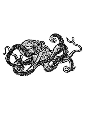 Image of Crawling octopus 