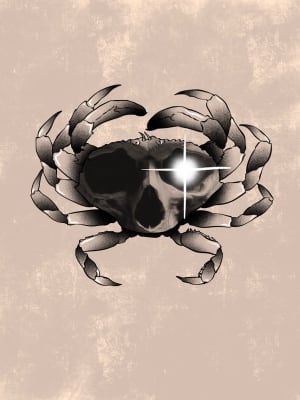 Image of Crab skull
