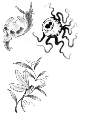 Image of Eye/snail/dragonfly