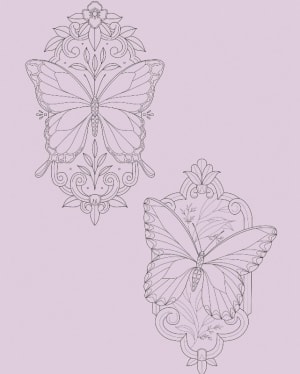 Image of Ornamental framed butterflies 15cm