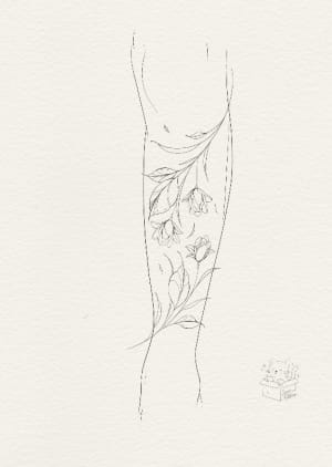 Image of Floral Shin 