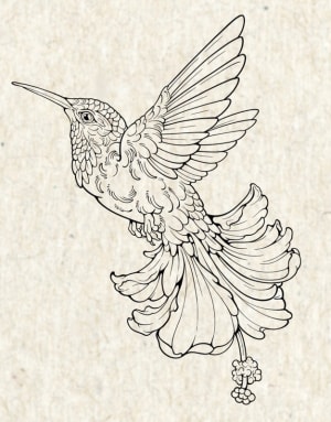 Image of Hummingbird floral
