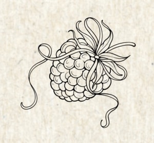 Image of Raspberry ribbon