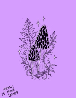 Image of Magic Morels (4.5” min)