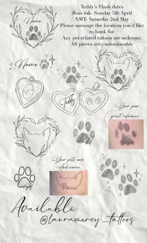 Image of Pet flash sheet 