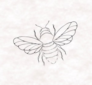 Image of Bee