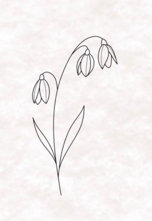 Image of Snowdrop