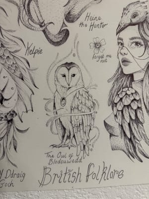 Image of The owl of blodeuwedd