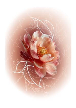 Image of Peony