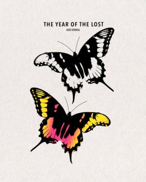 Image of High contrast. Butterfly