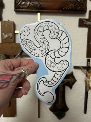 Image of Flower snake 