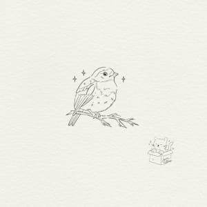 Image of Robin
