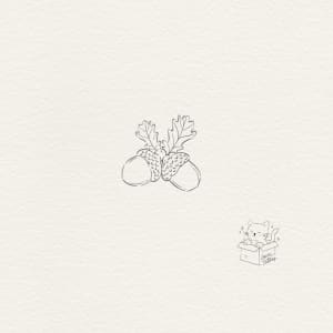 Image of Acorns