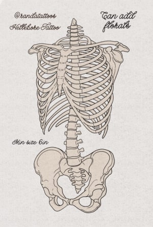 Image of Skeleton Torso - Can add to it