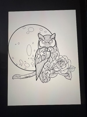 Image of Owl 