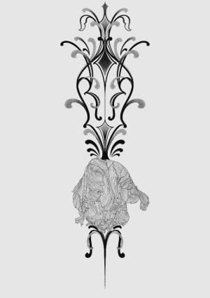 Image of Flornamental Frilly Tulip - long placement