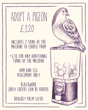 Image of Adopt a pigeon 