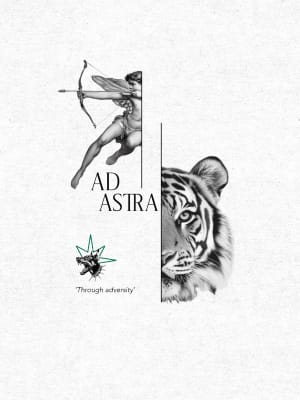 Image of Ad Astra (larger piece)